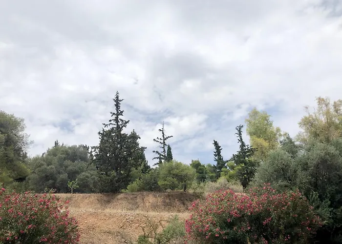 Olive Tree Deluxe Apt Under Acropolis Hillside