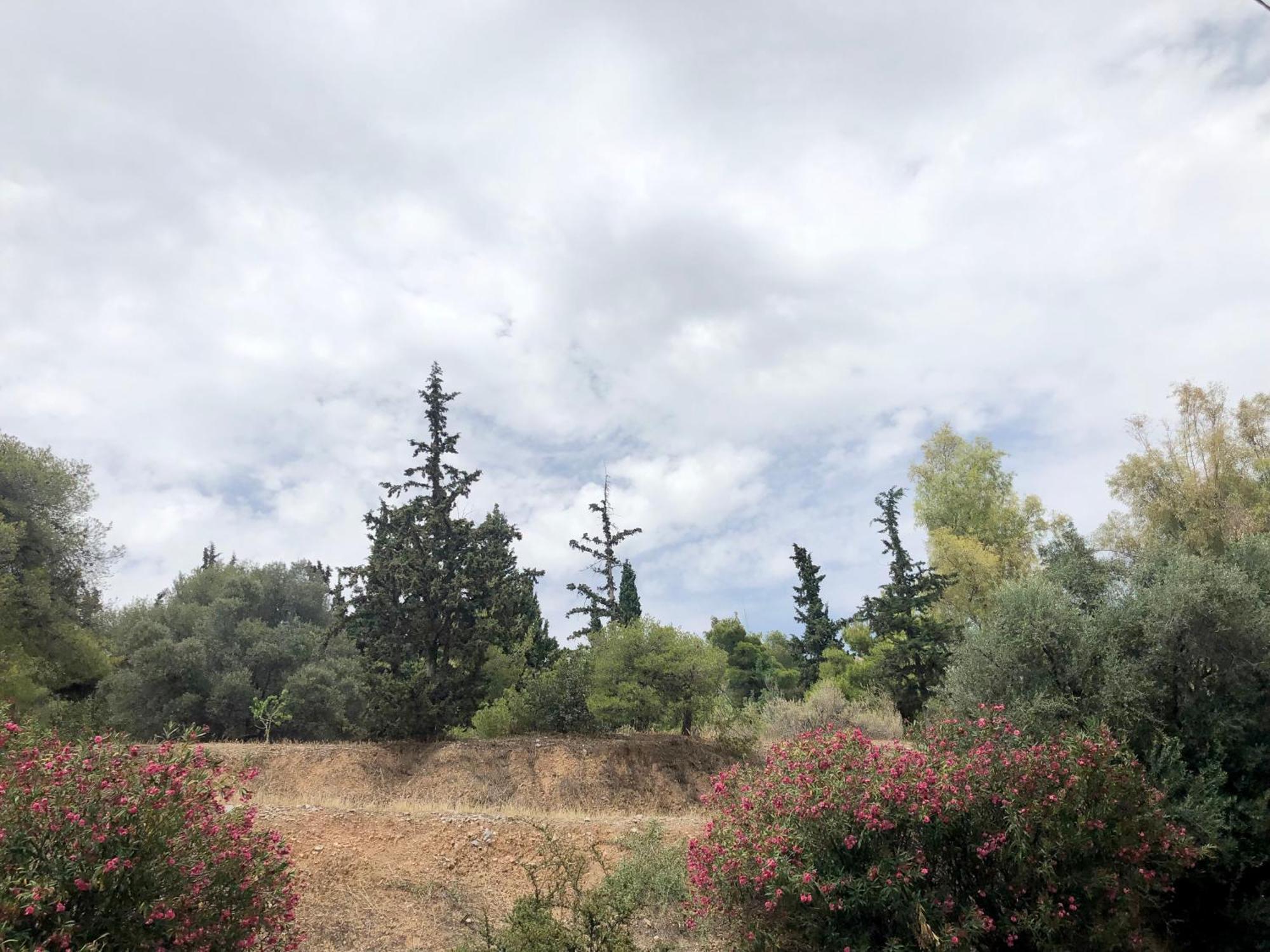 Olive Tree Deluxe Under Acropolis Hillside Apartment Athens